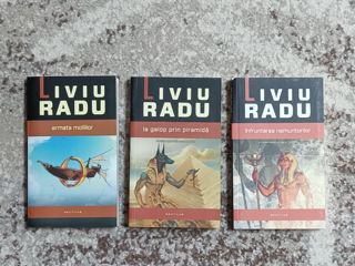 Taravik de Liviu Radu