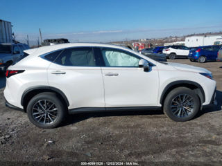 Lexus NX Series foto 12