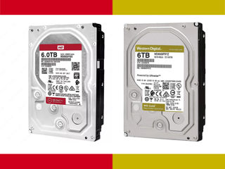 2 диска на выбор RED или GOLD HDD Western Digital 6 tb, каждый по 235€