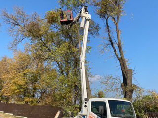 Defrisari - servicii profesionale! Curățare copaci! foto 9