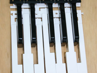 Clape pentru sintezatoare și piane electrice de orice model. foto 2
