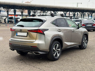 Lexus NX Series foto 6