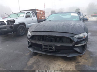 Ford Mustang foto 2