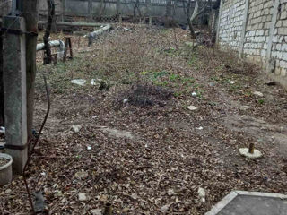 Услуги по уборке территории foto 2