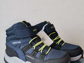 Geox 25--37