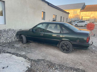 Opel Vectra foto 5