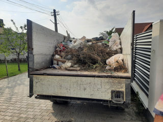 Evacuam Gunoi,Вывоз мусора. foto 1