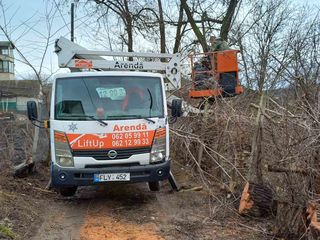 Servicii de tăiere copaci!!! Echipament modern, rapid si calitativ! foto 4