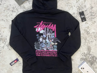 Stussy sweet wear