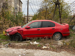 Nissan Primera foto 2