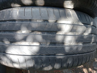 255 45 R19 Pirelli de vara foto 5