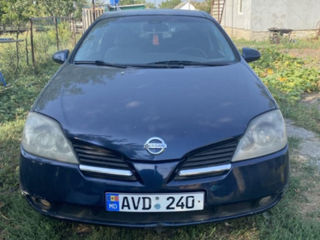 Nissan Primera foto 8