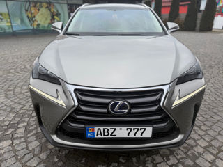 Lexus NX Series