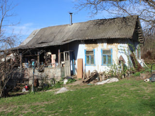 Дом с видом на Днестр foto 3