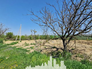 Spre vânzare teren agricol în com. Cruzești! foto 2