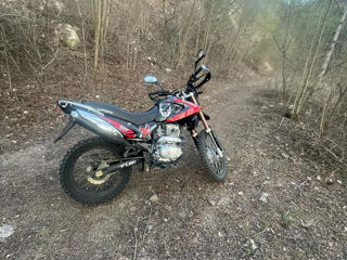 Viper Enduro foto 2