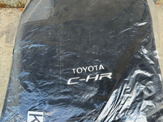 Toyota C-HR foto 2