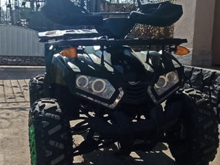 Viper Andes Atv