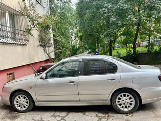 Nissan Primera foto 3