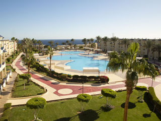 Grand Oasis Resort 4*+,Sharm EL Sheikh. Бухта Sharks Bay-хороший риф!