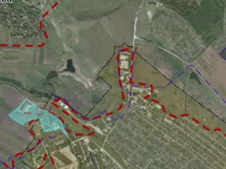 Se vinde ferma de vaci 14.54 hectare teren cu construcție de 12.700m2 foto 9