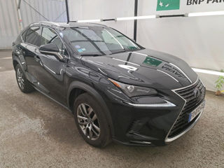 Lexus NX Series foto 3