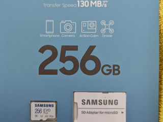 Samsung EVO Plus 256GB MicroSD