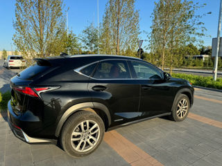 Lexus NX Series foto 4