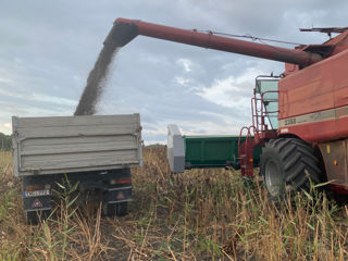 Combina CASE IH 2388 foto 3