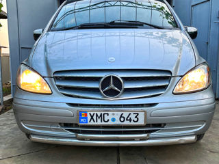 Mercedes Viano