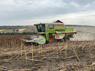 Claas Mega 208 foto 9