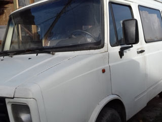 Daf daf foto 1