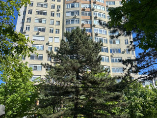 Ap. 3 cam., 121 м², 12/13 et.