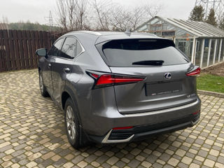 Lexus NX Series foto 3