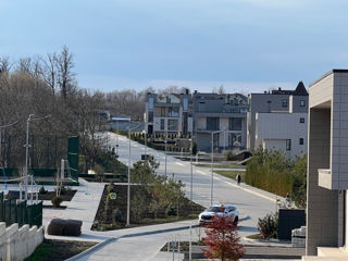 Botanica Townhouse / Poiana Pinului