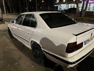 BMW 5 Series foto 3