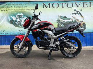 Forte 300cc Livrare gratis foto 4