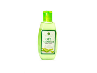 Gel igienizant pentru mâini cu extract de Aloe vera 80ml (70% Alcool)