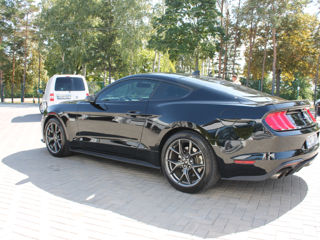 Ford Mustang foto 6