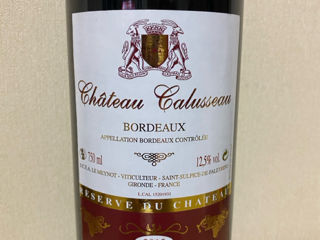 Chateau Galusseau