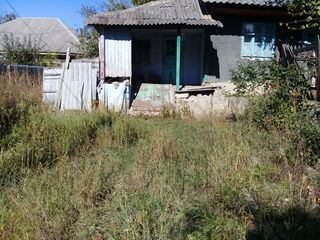 Urgent!!se vinde  casa +teren   in satul niscani r.calarasi foto 3
