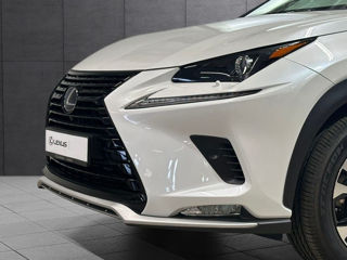 Lexus NX Series foto 4