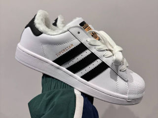 Adidas Superstar White Women's