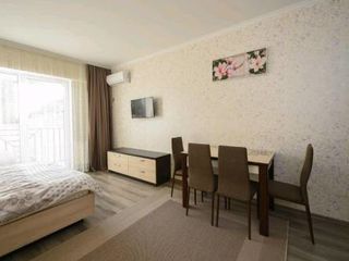 Apartament cu 1 cameră, 50 m², Centru, Chișinău foto 1