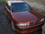 Nissan Primera foto 2