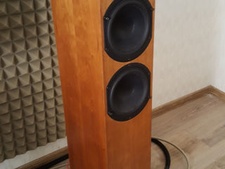 Audio Physic Tempo 3i (ритейл 3300 евро) foto 2