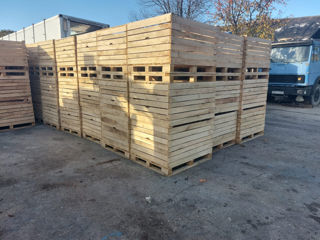 Containere din lemn pentru fructe si legume/ Контейнеры деревянные для фруктов и овощей
