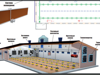Системы охлаждения для ферм foto 3
