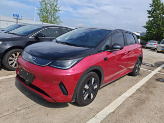 Byd Dolphin, 2025 