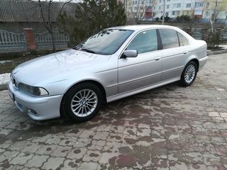 BMW 5 Series foto 8